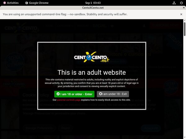 Accounts For Centoxcento.net