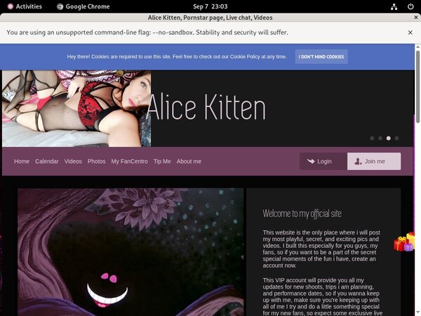 Alice Kitten Paypal Account