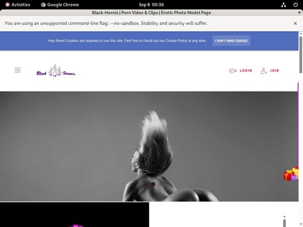 B L A C K - H O R N I S 4k