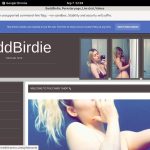 Baddbirdie.modelcentro.com Special Discount