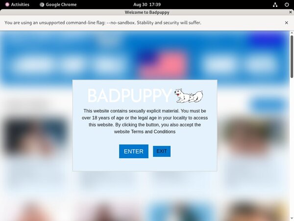 Badpuppy Site Review