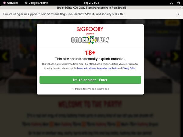 Brazil TGirls XXX Password Hack