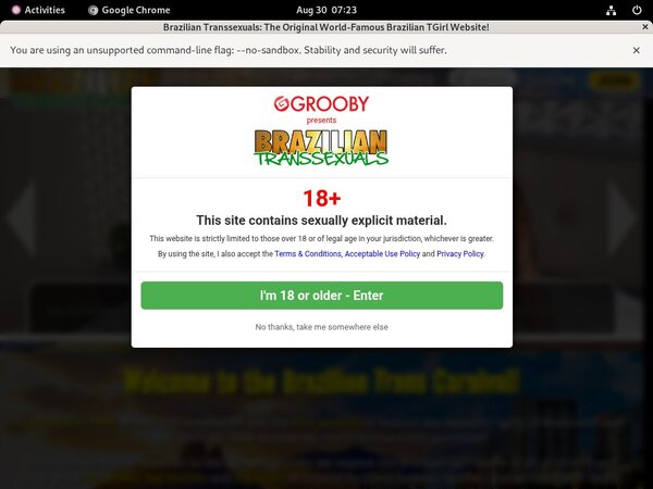 Brazilian Transsexuals Porns