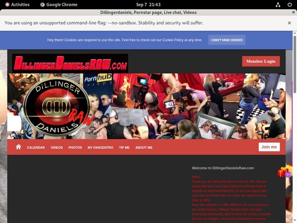 Dillingerdanielsraw.com Bypass