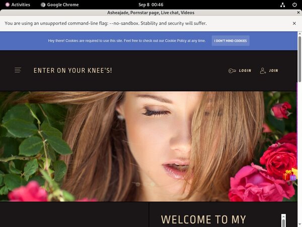 Discounted Ashea.modelcentro.com Membership