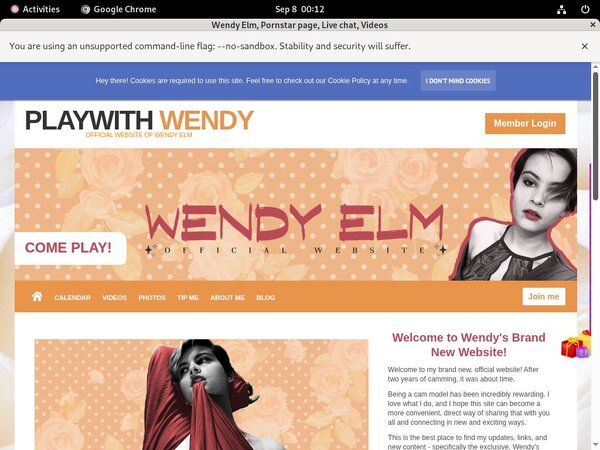 Does Playwithwendy Use Paypal?