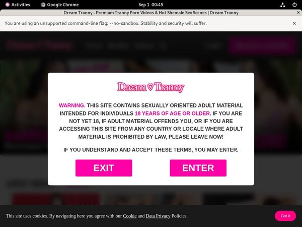 [Image: Dreamtranny-Fxbilling.jpg]