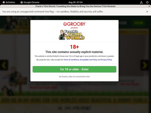 Franks T-Girl World Password Generator