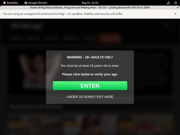 Free Accounts To XX-Cel