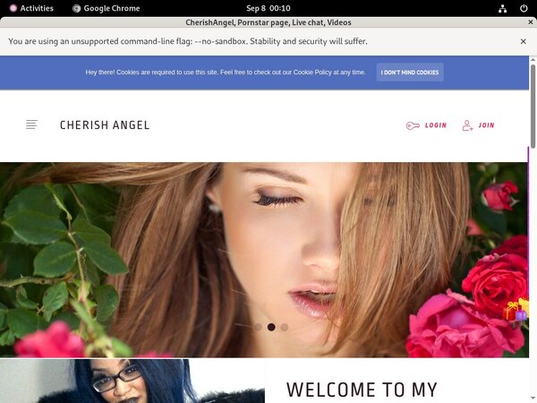 Free CherishAngel Accounts And Passwords