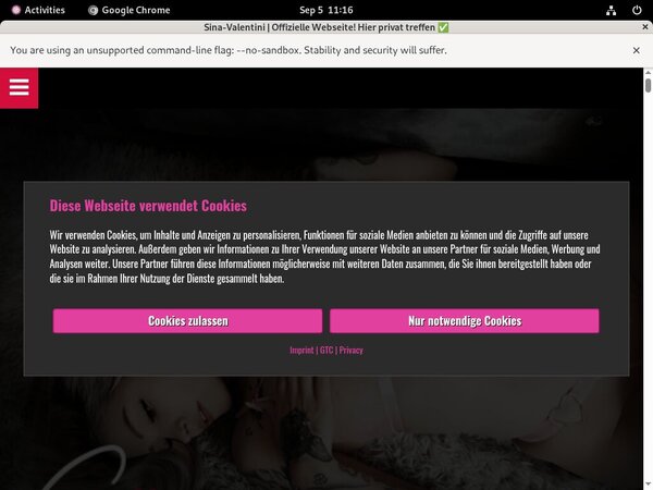Free Login Sina-valentini.de