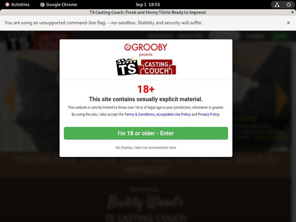 Free Ts-castingcouch.com Premium Account