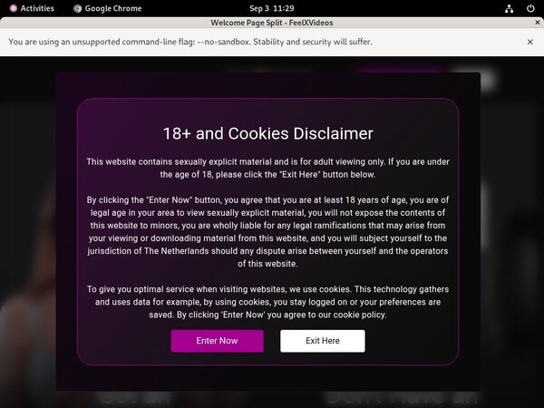 Free Working Feelxvideos.com Logins