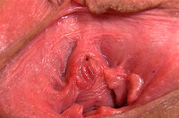 Gape My Pussy Accounts Daily s3