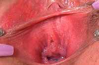 Gape My Pussypassword s1