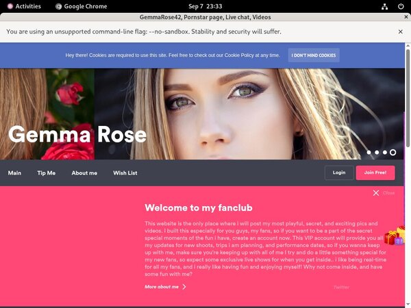 Gemmarose42.modelcentro.com Review