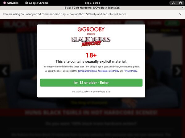 Hardcore TGirls Black Premium Password