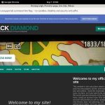 HoneyyLeigh Working Pass