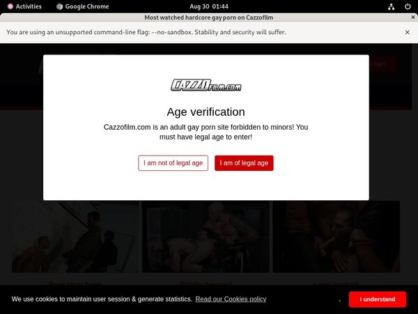 How To Get Free Cazzo.fr Accounts