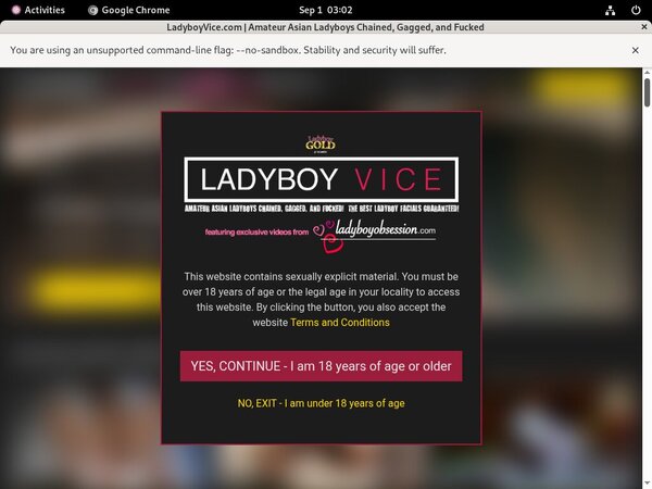 How To Get Into Ladyboy Vice Free