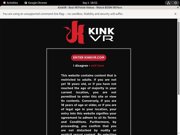 Kinkvr.com Page