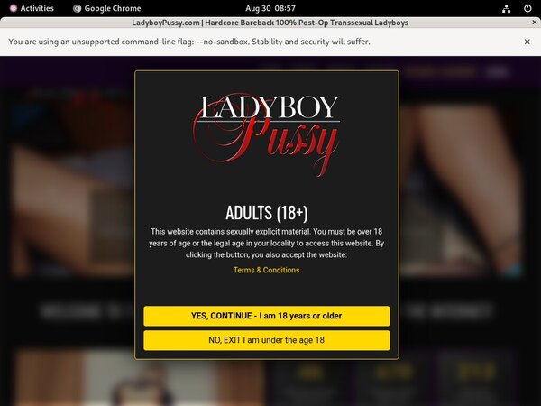 Ladyboypussy Bdsm Ladyboypussy Bdsm