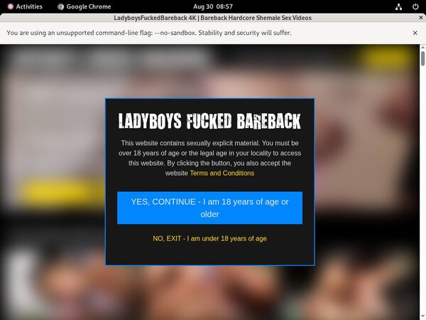 Ladyboys Fucked Bareback Acc Premium