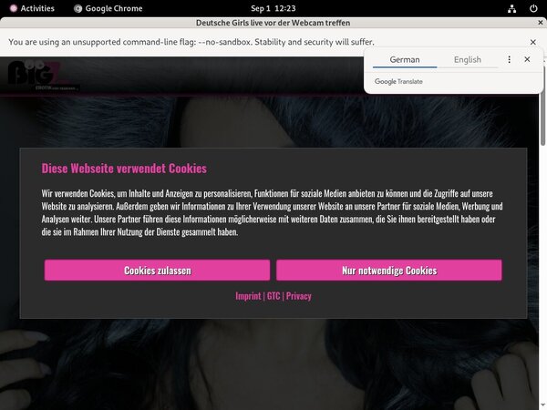 Lanagiselle.tv Web Billing