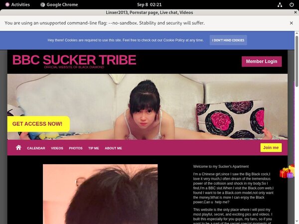 Linxer2013.modelcentro.com Discount Setup