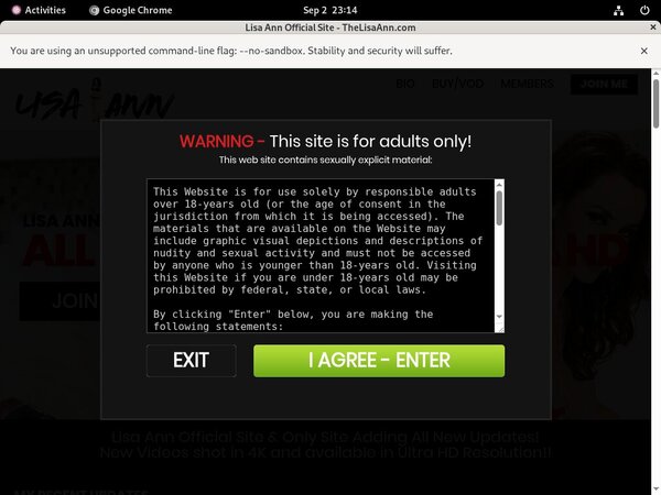 Lisa Ann With No Card