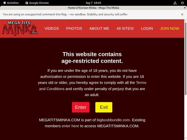 Megatitsminka.com Web Site