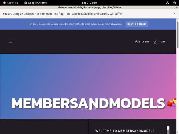 MembersandModels Vendo Page