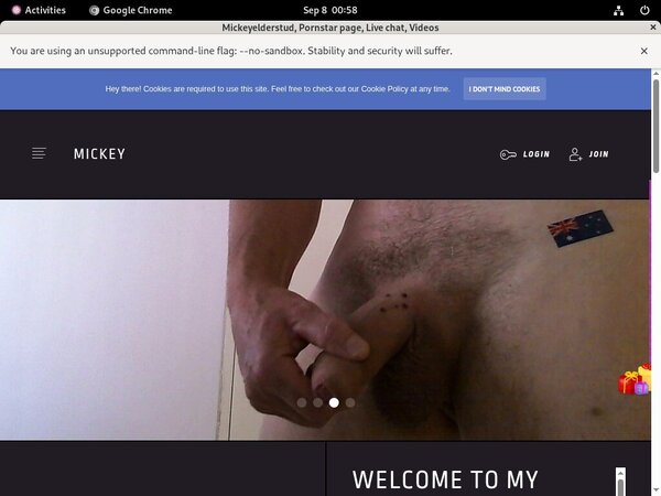Mickeyelderstud Logins For Free Mickeyelderstud Logins For Free