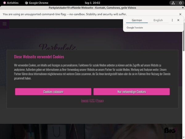 Parkplatzluder19 Paysite Review