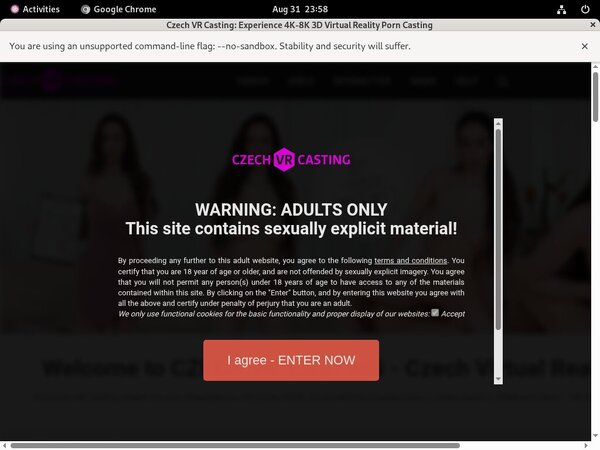 Porn Pass Czechvrcasting.com