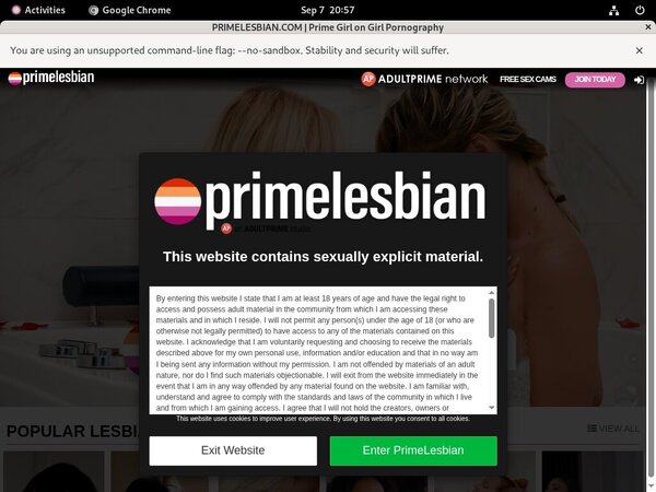 Prime Lesbians Account Paypal
