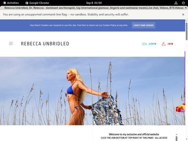 Rebeccaunbridled.com Page