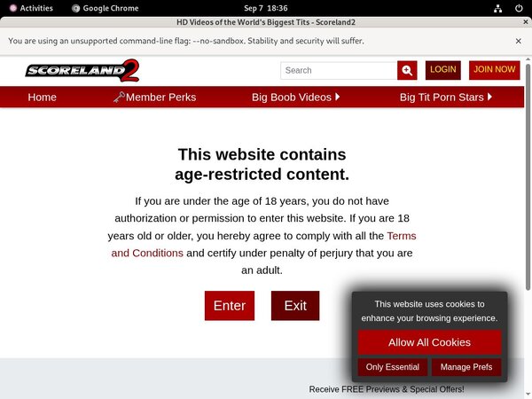 Scoreland2 Stockings