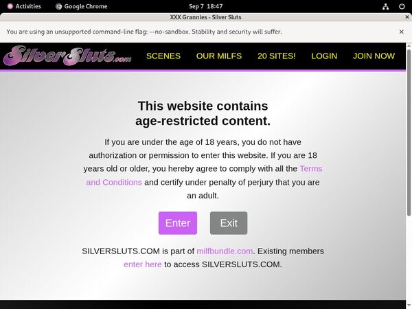 Silver Sluts Paypal Trial