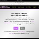 Silversluts Porn Passwords