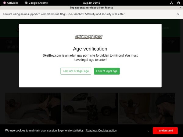 Sketboy.com User And Password