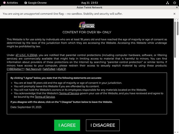 Thaigayboys.com Cc Bill