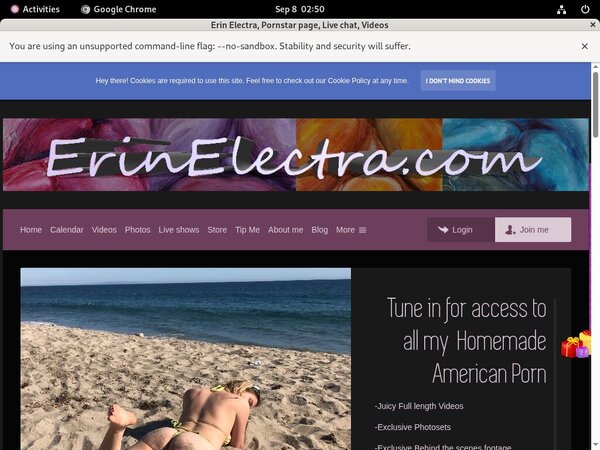 Tumblr Erin Electra