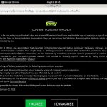 Twinkboysparty Discount Site