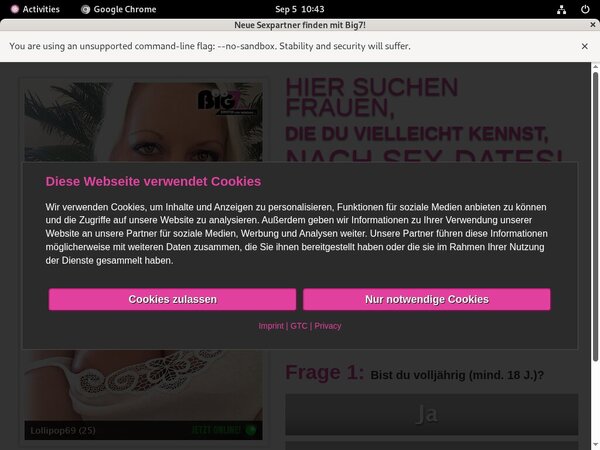 Your Secret Dream Free Premium Passwords