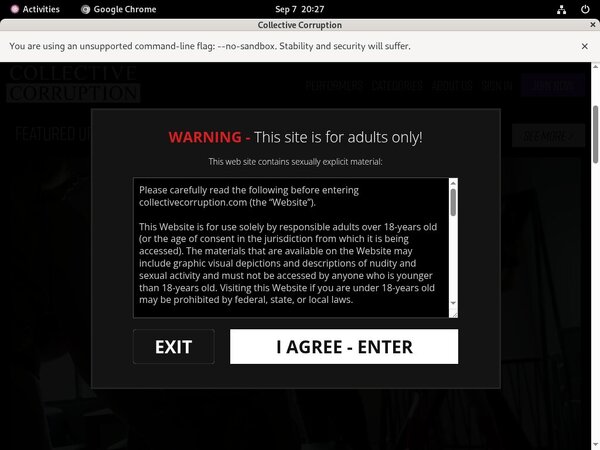 Collectivecorruption.com Using Pay Pal
